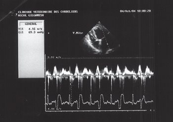 Fig 9 Echo 6