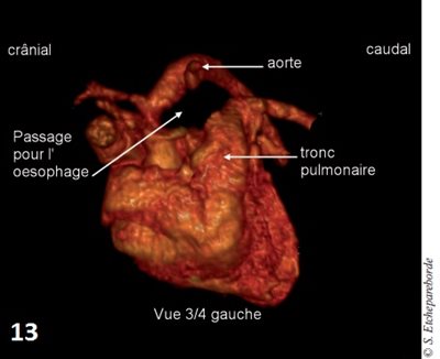 fig 13