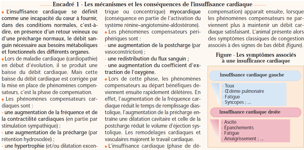 encadré 1