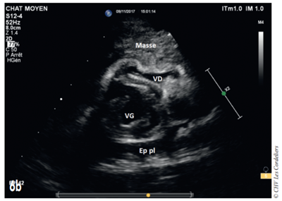 Fig 6b
