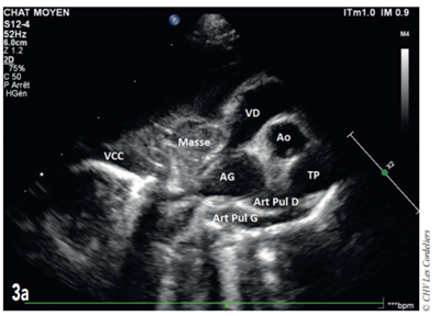 Fig 3a