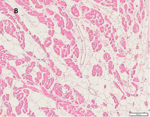 fig 4b