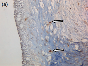 Fig 8a