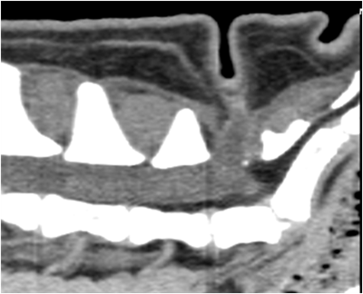 photo 5 : Scanner