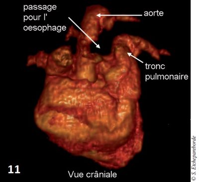 fig 11