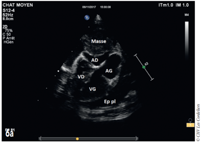 Fig 6a