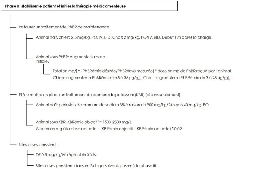 Stabiliser Une Crise Convulsives Centre Hospitalier Veterinaire A Meaux Cordeliers Stabiliser Une Crise Convulsives Centre Hospitalier Veterinaire A Meaux Cordeliers
