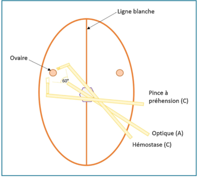 fig 5