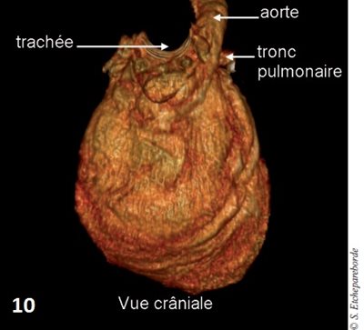 fig 10