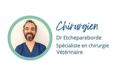 chirurgien