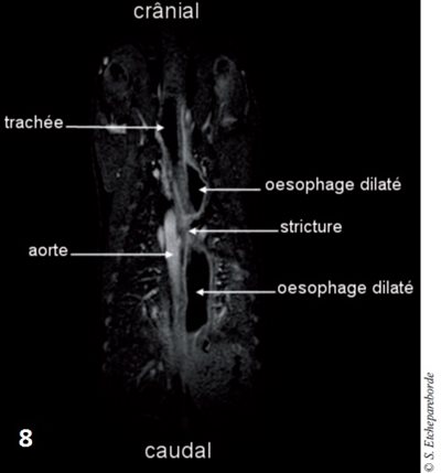 fig 8