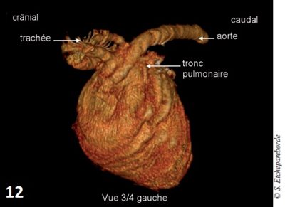 fig 12
