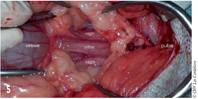 fig 5