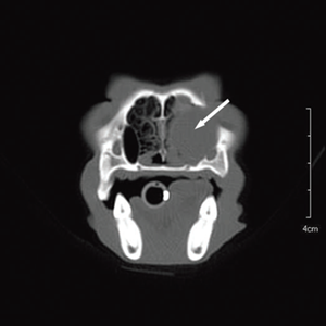 fig 3a