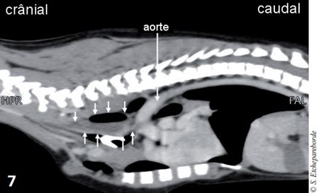 fig 7