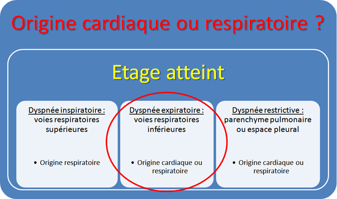 tableau 1 origine cardiaque ou respiratoire ?